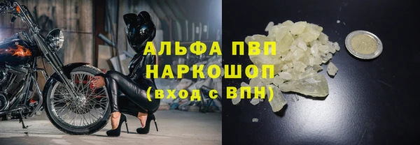 СК Верхний Тагил