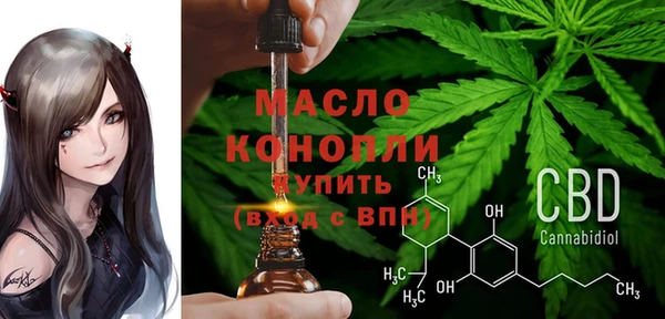СК Верхний Тагил