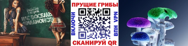 Псилоцибиновые грибы Psilocybine cubensis  купить закладку  Невинномысск 